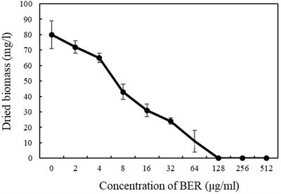 Berberine Damages the Cell Surface of Methicillin-Resistant Staphylococcus aureus